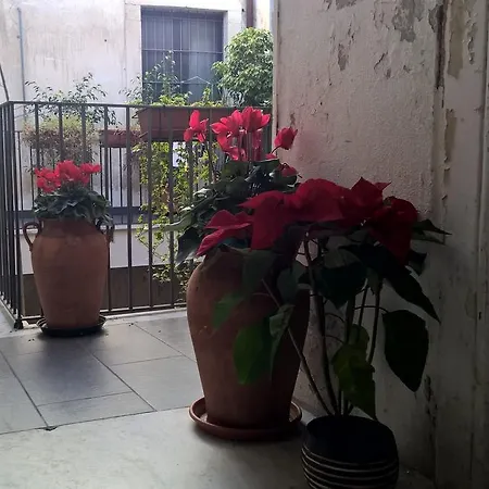 Amenano Apartment Catania